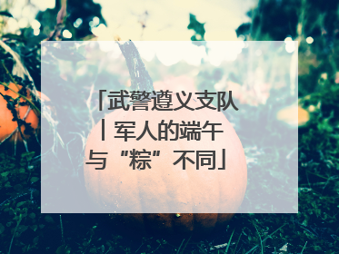 武警遵义支队︱军人的端午 与“粽”不同
