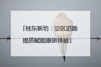 桂东新坊：景区道路提质赋能康旅体验