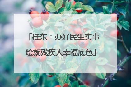 桂东：办好民生实事 绘就残疾人幸福底色