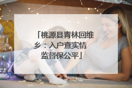 桃源县青林回维乡：入户查实情 监督保公平