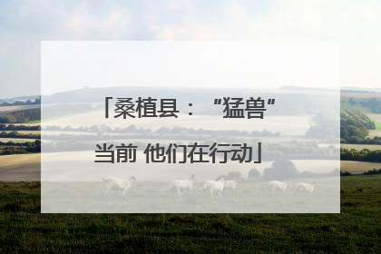 桑植县：“猛兽”当前 他们在行动