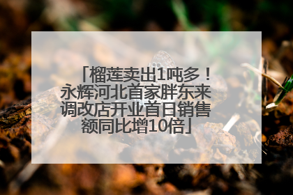 榴莲卖出1吨多！永辉河北首家胖东来调改店开业首日销售额同比增10倍