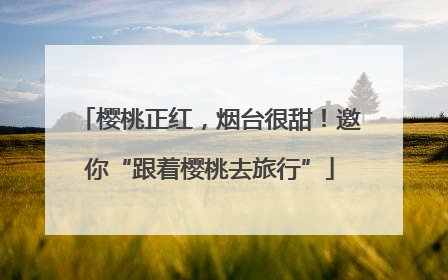 樱桃正红，烟台很甜！邀你“跟着樱桃去旅行”