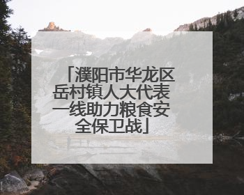 濮阳市华龙区岳村镇人大代表一线助力粮食安全保卫战