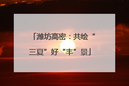 潍坊高密：共绘“三夏”好“丰”景