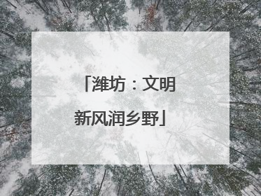 潍坊：文明新风润乡野
