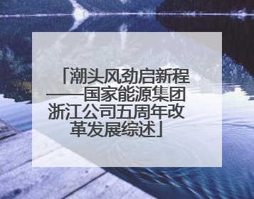 潮头风劲启新程——国家能源集团浙江公司五周年改革发展综述