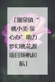 潮泉镇“桃小美·泉心办”助力梦幻桃花源项目扬帆起航