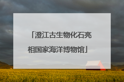 澄江古生物化石亮相国家海洋博物馆
