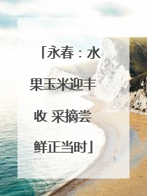 永春：水果玉米迎丰收 采摘尝鲜正当时