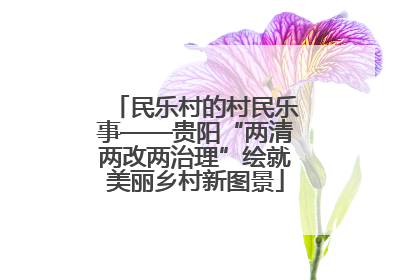 民乐村的村民乐事——贵阳“两清两改两治理”绘就美丽乡村新图景