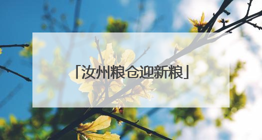 汝州粮仓迎新粮