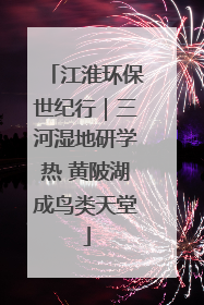 江淮环保世纪行｜三河湿地研学热 黄陂湖成鸟类天堂