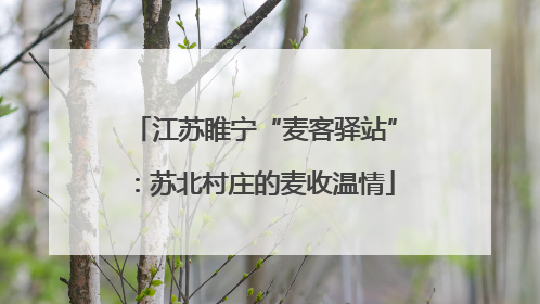 江苏睢宁“麦客驿站”：苏北村庄的麦收温情