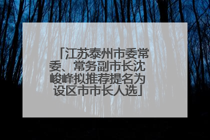 江苏泰州市委常委、常务副市长沈峻峰拟推荐提名为设区市市长人选