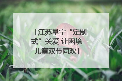 江苏阜宁“定制式”关爱 让困境儿童双节同欢
