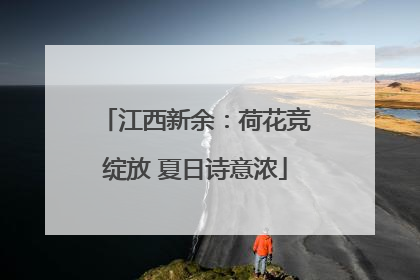 江西新余：荷花竞绽放 夏日诗意浓