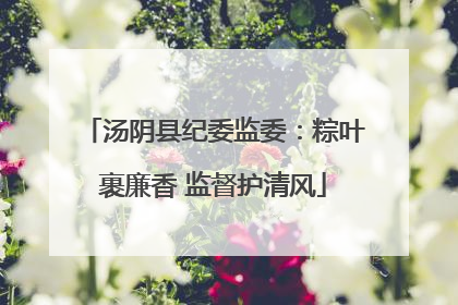汤阴县纪委监委：粽叶裹廉香 监督护清风