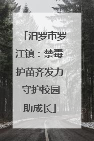 汨罗市罗江镇：禁毒护苗齐发力 守护校园助成长