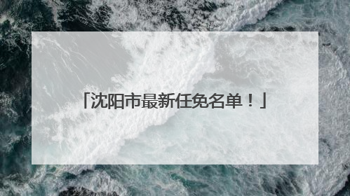 沈阳市最新任免名单！