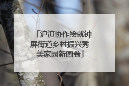 沪滇协作绘就钟屏街道乡村振兴秀美家园新画卷