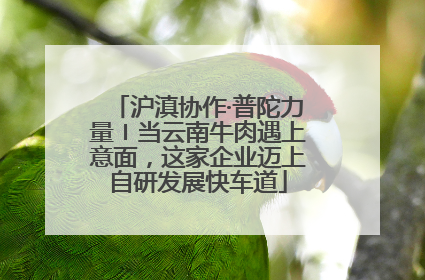 沪滇协作·普陀力量〡当云南牛肉遇上意面，这家企业迈上自研发展快车道