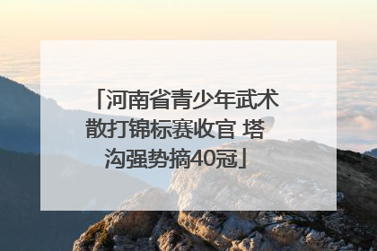 河南省青少年武术散打锦标赛收官 塔沟强势摘40冠