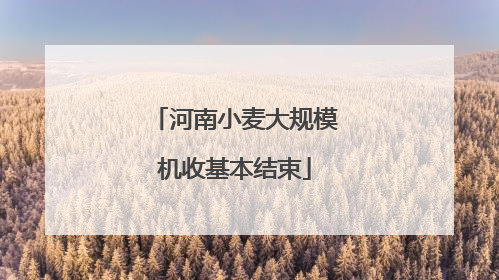 河南小麦大规模机收基本结束