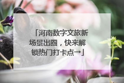 河南数字文旅新场景出圈，快来解锁热门打卡点→