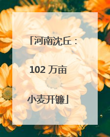 河南沈丘：102 万亩小麦开镰