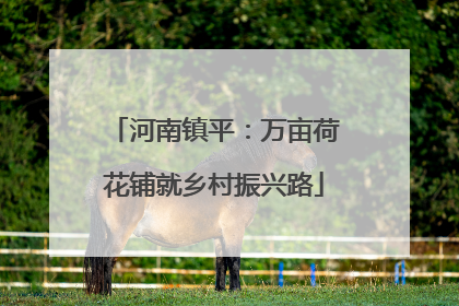 河南镇平：万亩荷花铺就乡村振兴路
