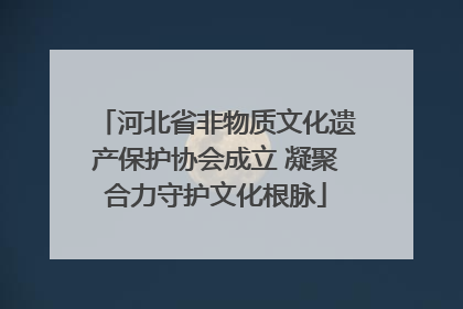 河北省非物质文化遗产保护协会成立 凝聚合力守护文化根脉