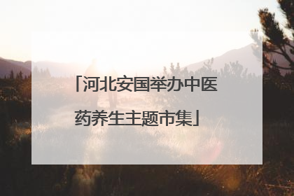 河北安国举办中医药养生主题市集