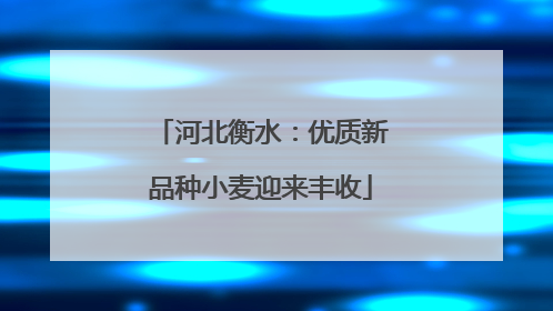 河北衡水：优质新品种小麦迎来丰收