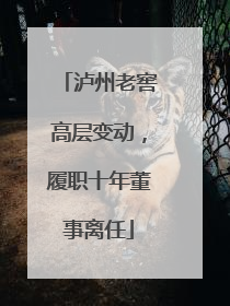 泸州老窖高层变动，履职十年董事离任