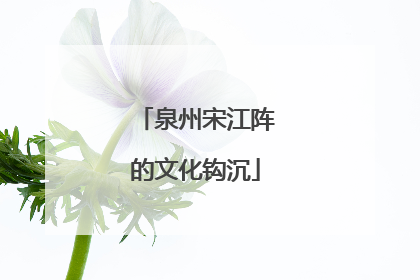 泉州宋江阵的文化钩沉