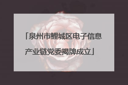 泉州市鲤城区电子信息产业链党委揭牌成立