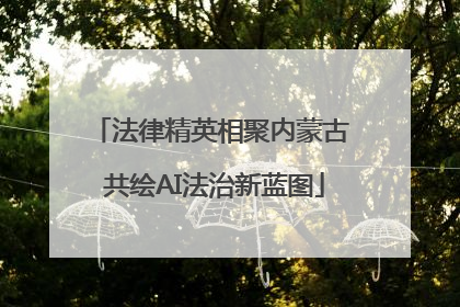 法律精英相聚内蒙古 共绘AI法治新蓝图