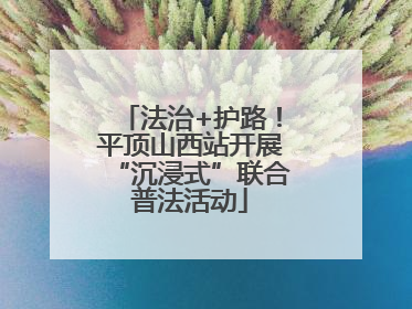 法治+护路！平顶山西站开展“沉浸式”联合普法活动