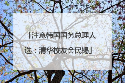 注意韩国国务总理人选：清华校友金民锡