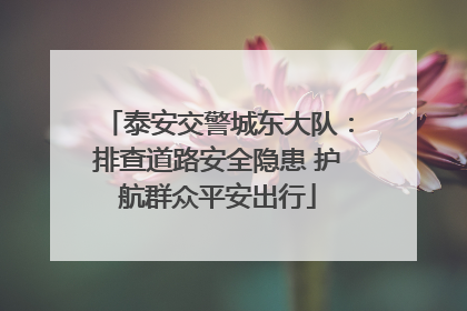 泰安交警城东大队：排查道路安全隐患 护航群众平安出行