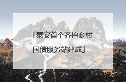 泰安首个齐鲁乡村国债服务站建成