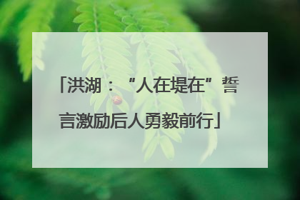 洪湖：“人在堤在”誓言激励后人勇毅前行