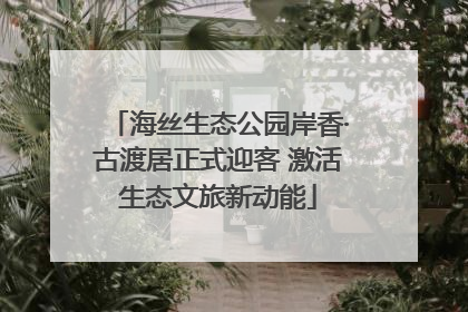 海丝生态公园岸香·古渡居正式迎客 激活生态文旅新动能