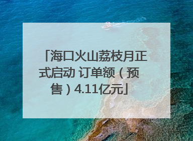 海口火山荔枝月正式启动 订单额（预售）4.11亿元