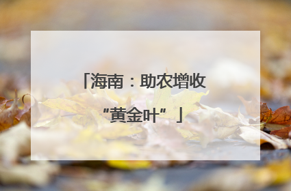 海南：助农增收 “黄金叶”