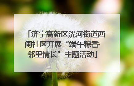 济宁高新区洸河街道西闸社区开展“端午粽香·邻里情长”主题活动