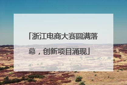 浙江电商大赛圆满落幕，创新项目涌现