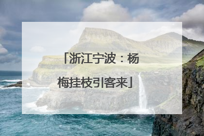 浙江宁波：杨梅挂枝引客来