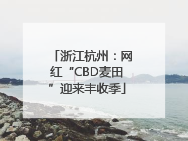 浙江杭州：网红“CBD麦田”迎来丰收季